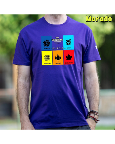Camiseta Hombre Manga Corta - The monuments