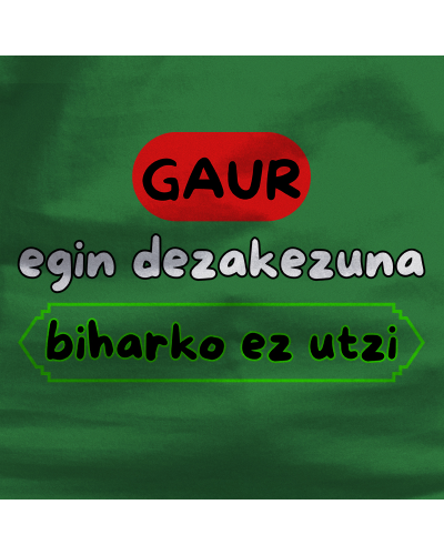Haur Kamiseta - Gaur