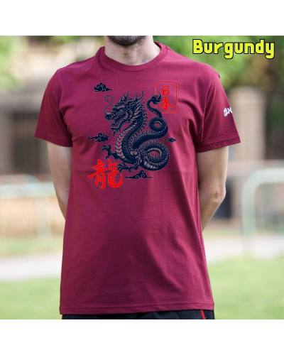 Camiseta hombre manga corta - Dragon