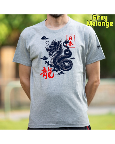 Camiseta hombre manga corta - Dragon