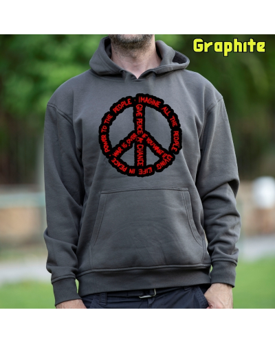Sudadera hombre con capucha Imagine All
