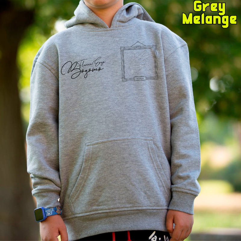 Sudadera Niño Con Capucha - Aura