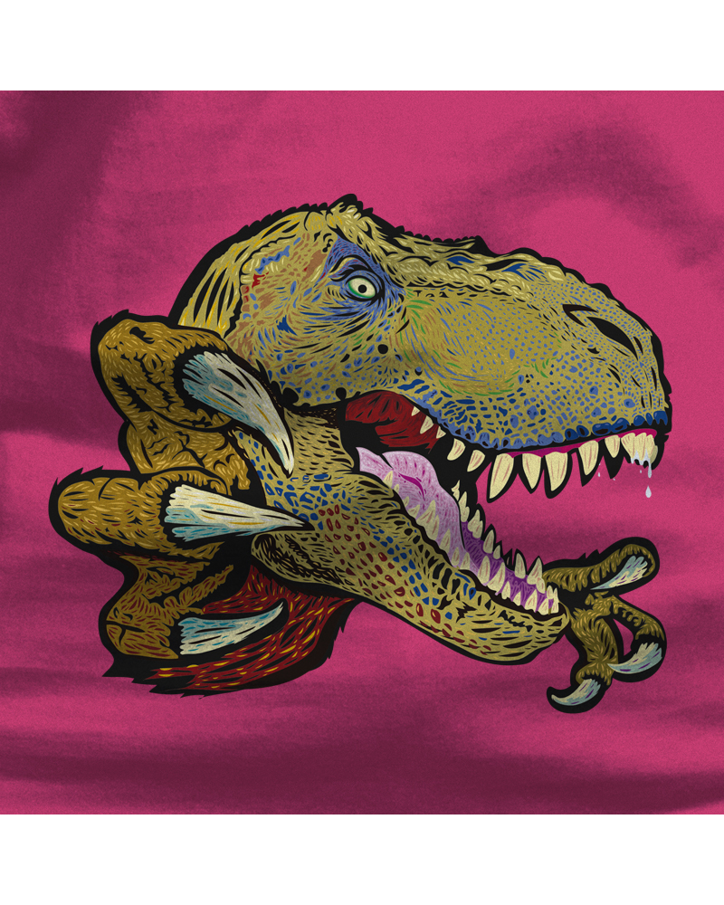 Camiseta Niño Manga Corta - T Rex