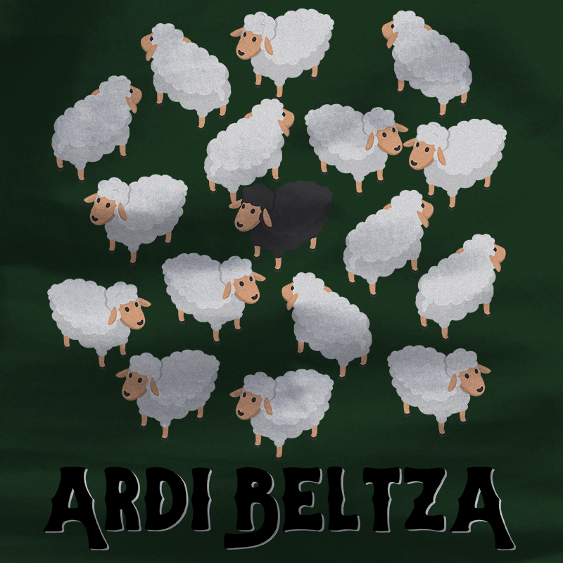 Emakumeen Kamiseta  - ARDI BELTZA