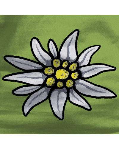 Emakumeen Kamiseta - Edelweiss