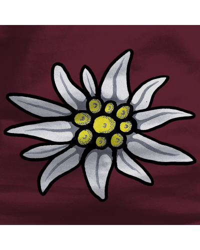 Gizonezkoen Txanodun Jertsea - Edelweiss