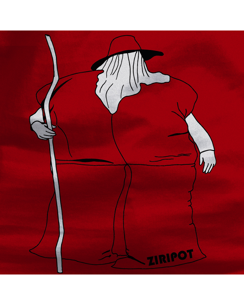 Emakumeen Kamiseta  - Ziripot