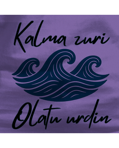 Gizonezkoen Kamiseta - Kalma Zuri