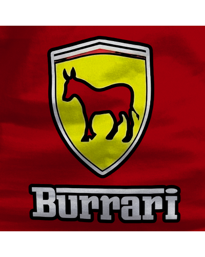 Camiseta hombre manga corta - Burrari