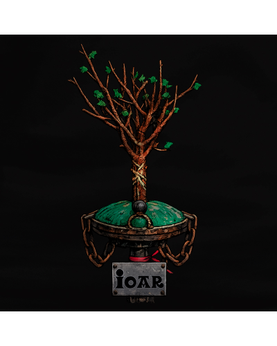 Forro-polar-Ioar-Osoa