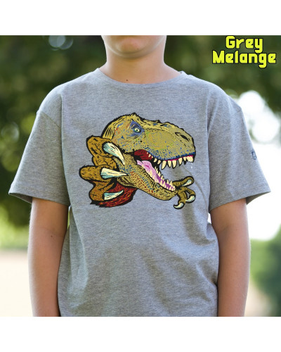 Camiseta Niño Manga Corta - T Rex