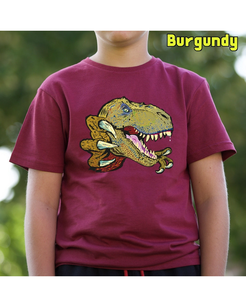 Camiseta Niño Manga Corta - T Rex