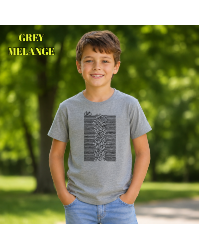 Camiseta Niño Manga Corta - Enjoy Division