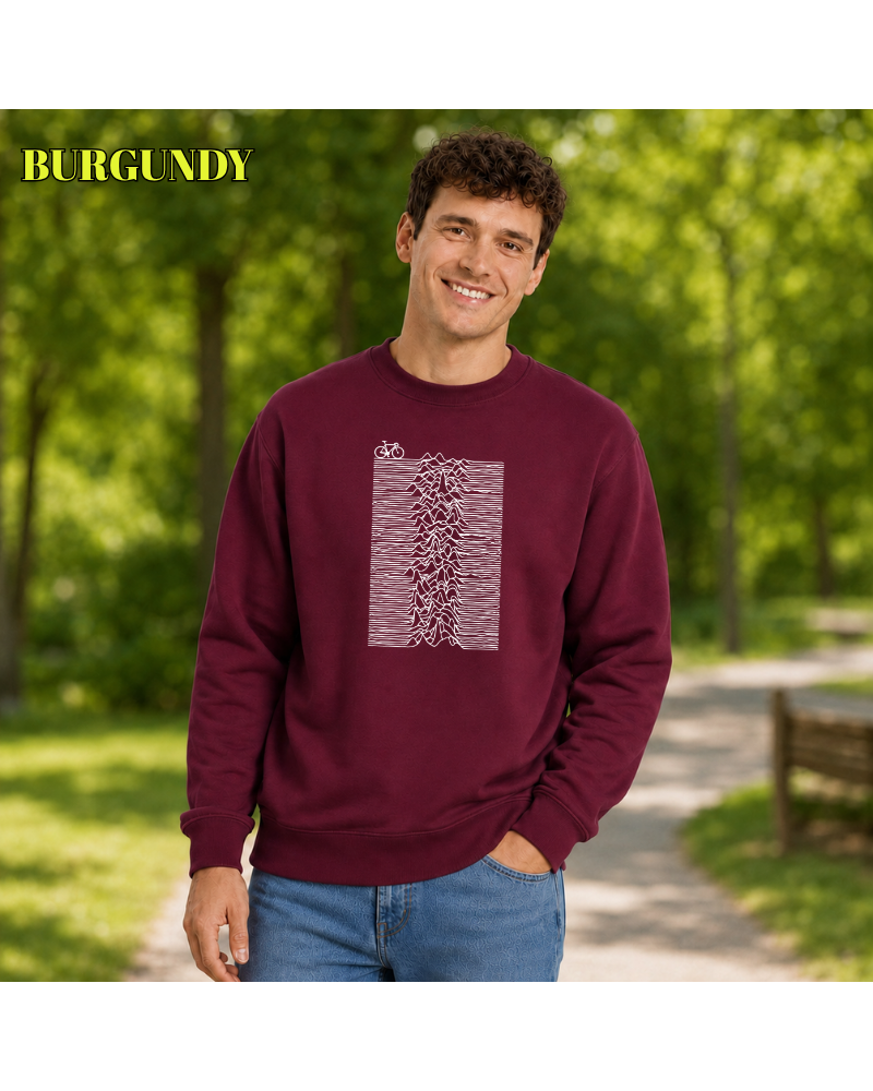 PSudadera Unisex - Enjoy Division
