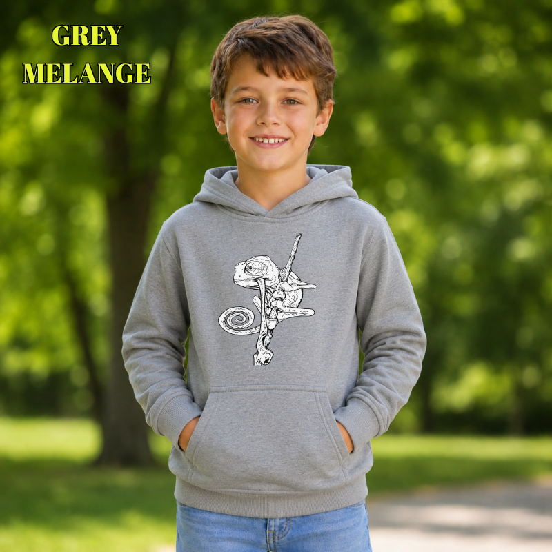 Sudadera Niño Con Capucha - Camaleón