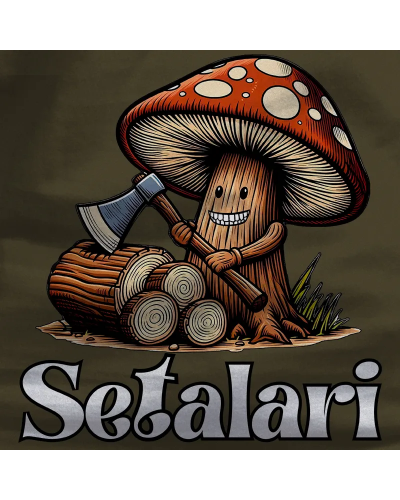 SETALARI