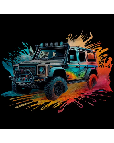 POLO BICOLOR COLOUR 4X4