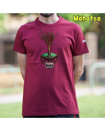 Gizonezkoen Kamiseta - Ioar Osoa