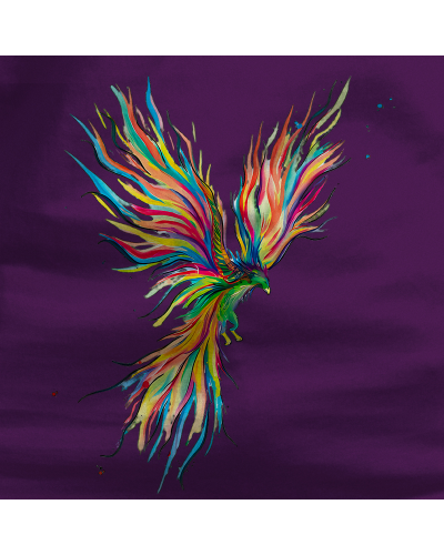 Camiseta Hombre Manga Corta - FÉNIX