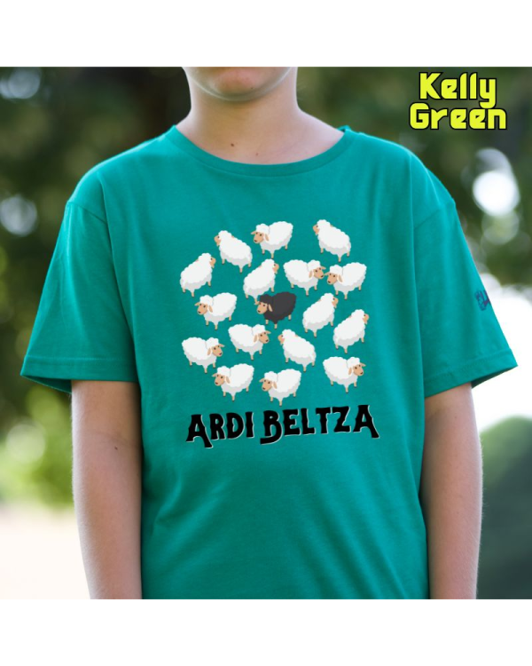 Ardi Beltza