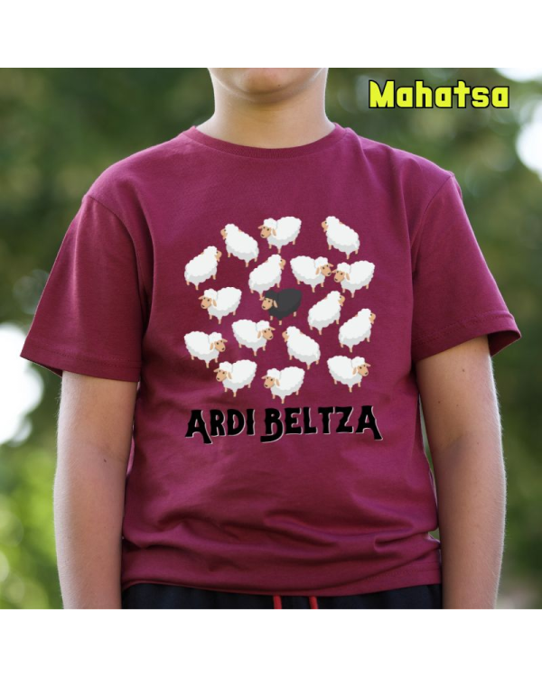 Ardi Beltza