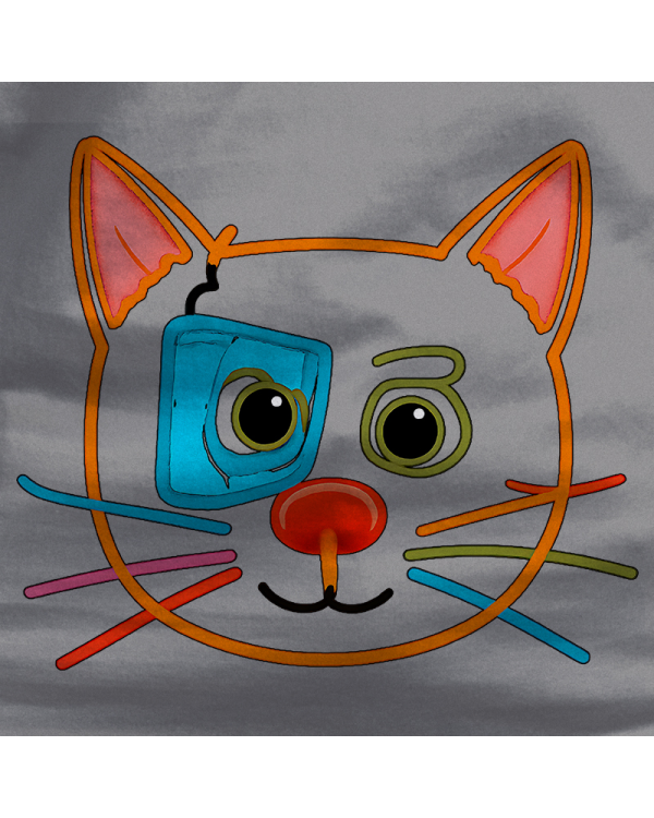 Sudadera niño con capucha - Gatito