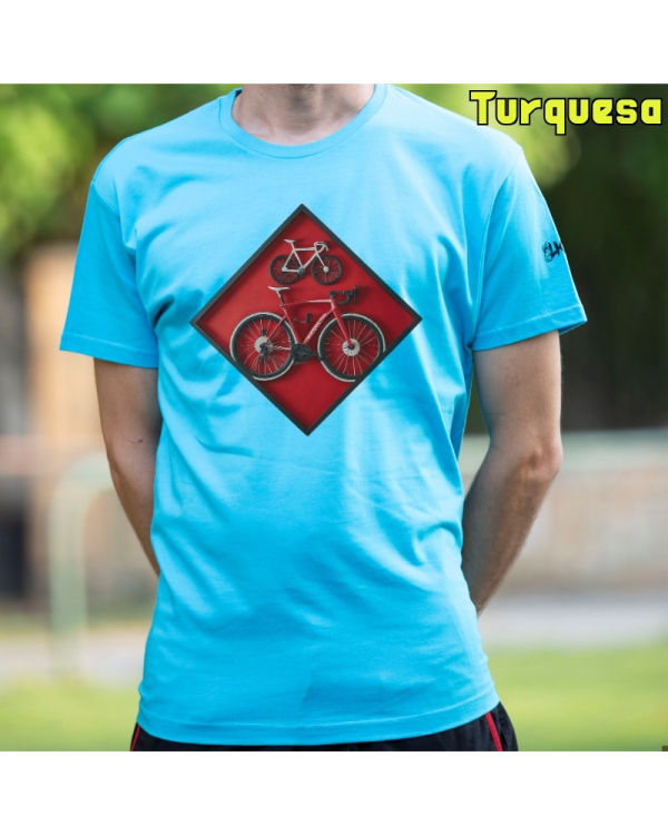Cuadro Ciclista