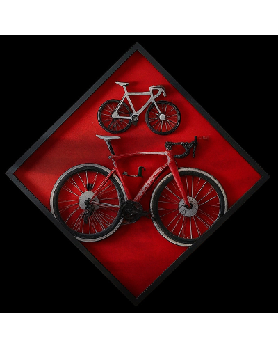 Cuadro Ciclista