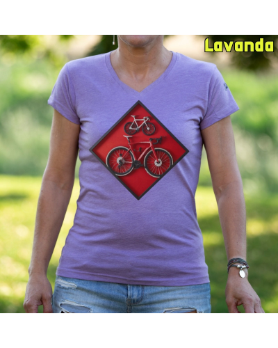 Cuadro Ciclista