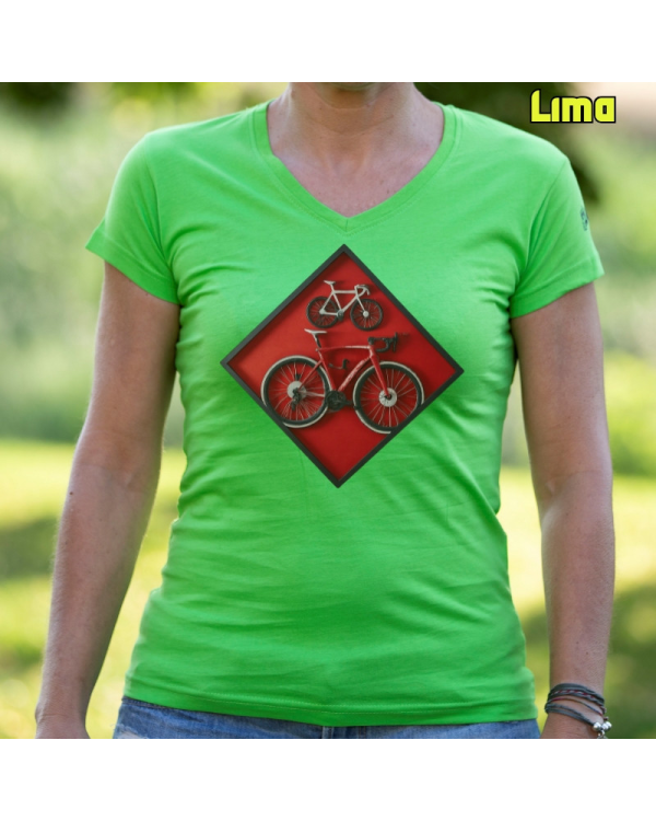 Cuadro Ciclista
