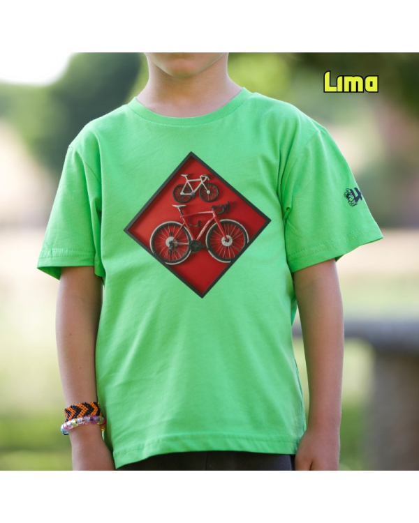 Cuadro Ciclista