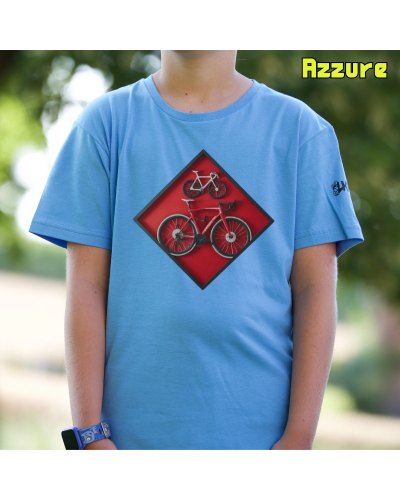 Cuadro Ciclista