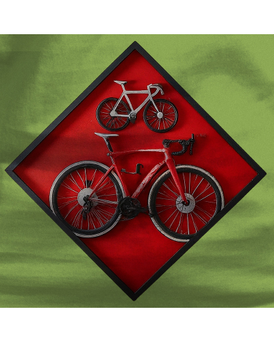 Cuadro Ciclista