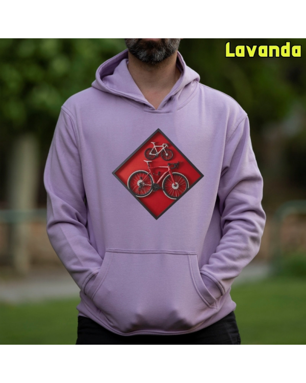Cuadro Ciclista