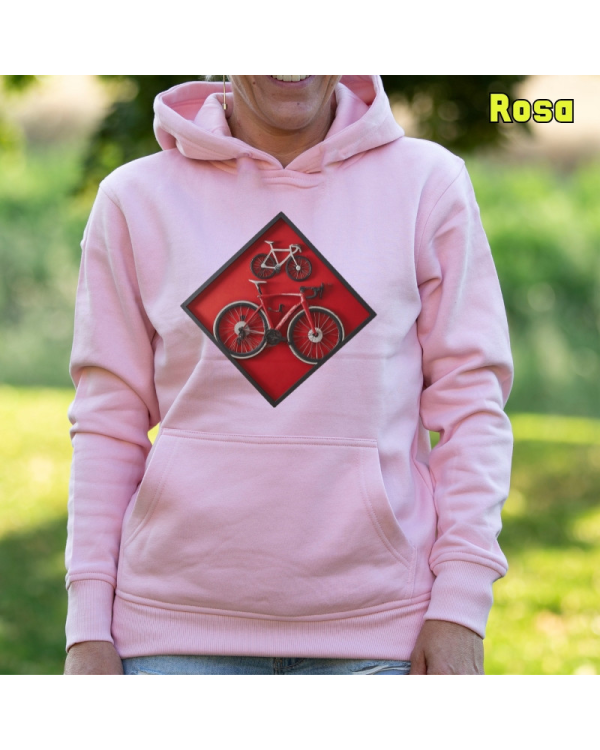 Cuadro Ciclista