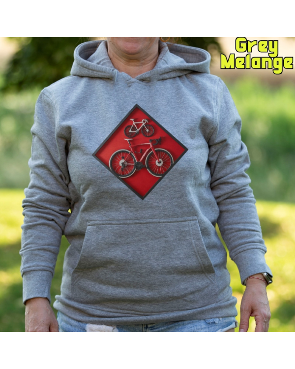 Cuadro Ciclista