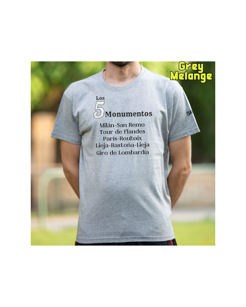 Camiseta Hombre Manga Corta - 5 Monumentos