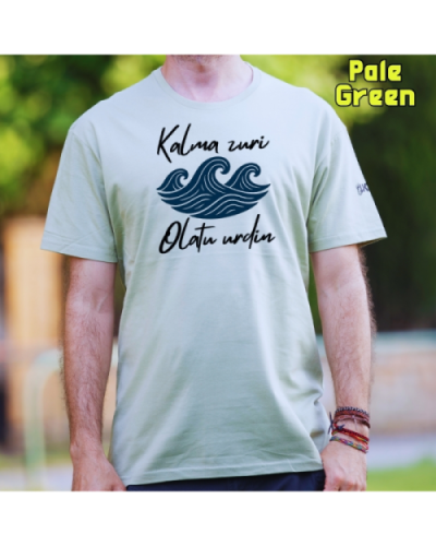 GizonKamiseta-Kalma Zuri PaleGreen