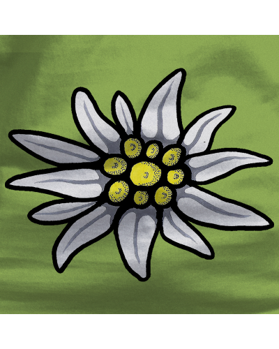 Emakumeen Kamiseta - Edelweiss