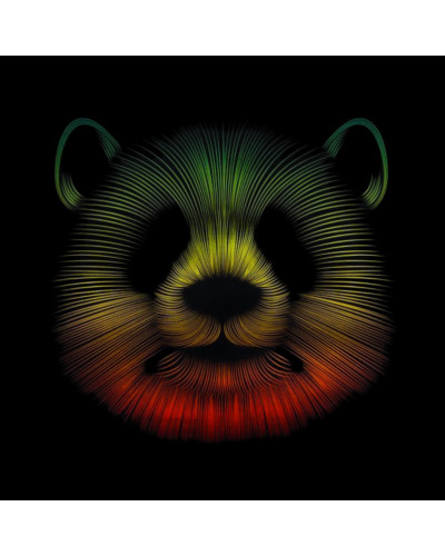 Camiseta niño Brillant Bear - manga corta